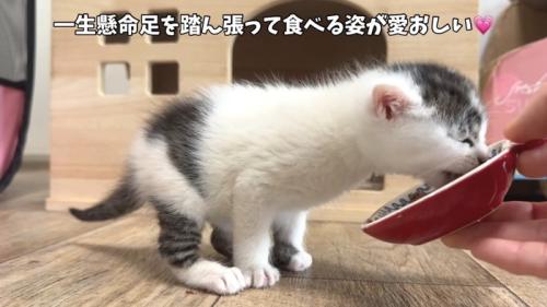 一生懸命足を踏ん張って