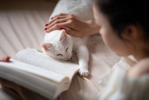 読書をしている女性と猫