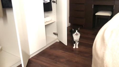 鳴いているおむすびちゃん