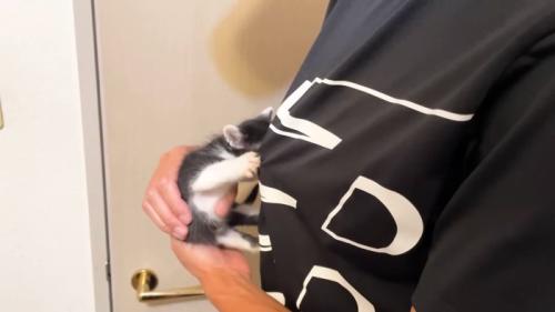 服を引っ張って