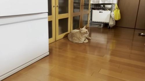 床でくつろぎ中