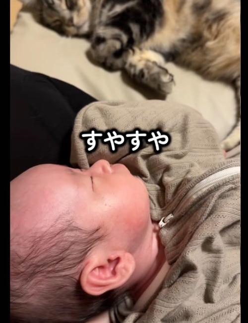 赤ちゃんと添い寝をしている猫