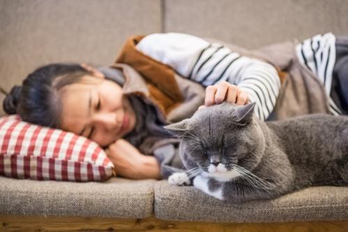 ソファでくつろぐ若い女性と猫