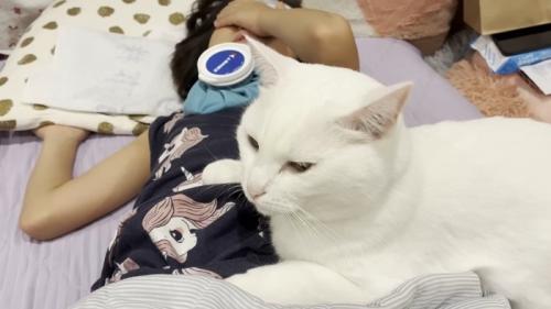 お腹の上に