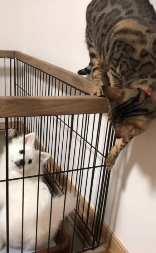 別の角度から覗き込む