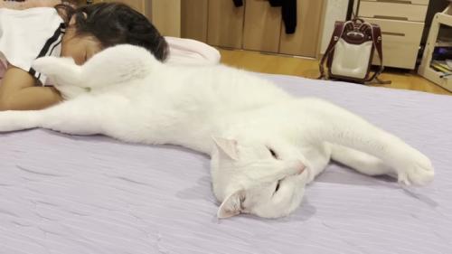 ヘソ天