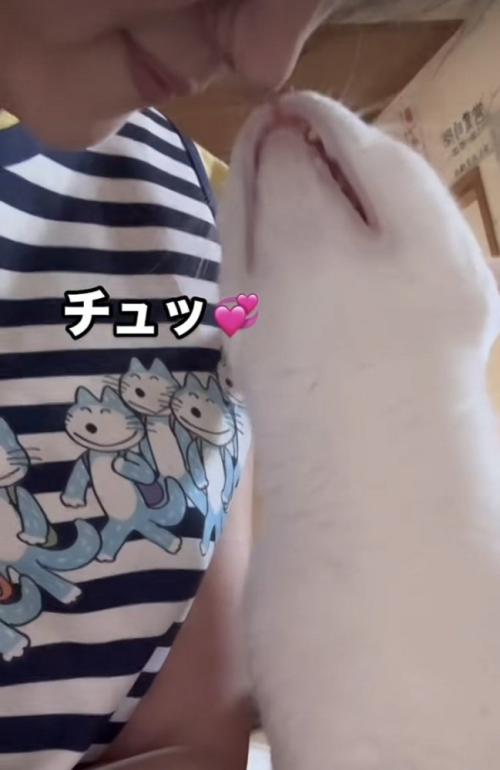 ママとキスする白猫
