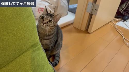 保護して7ヶ月