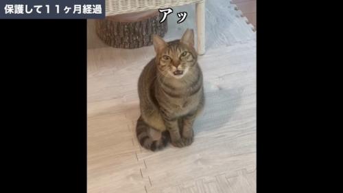 保護して11ヶ月