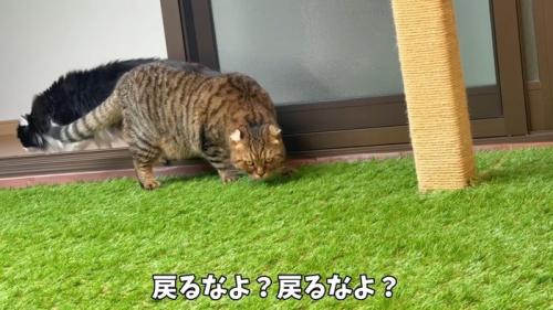 戻るなよ？戻るなよ？