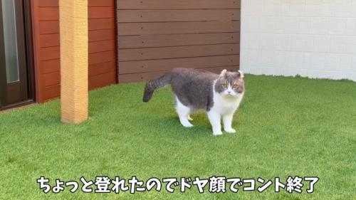 ドヤ顔でコント終了
