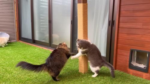 柱を守るもすけくん