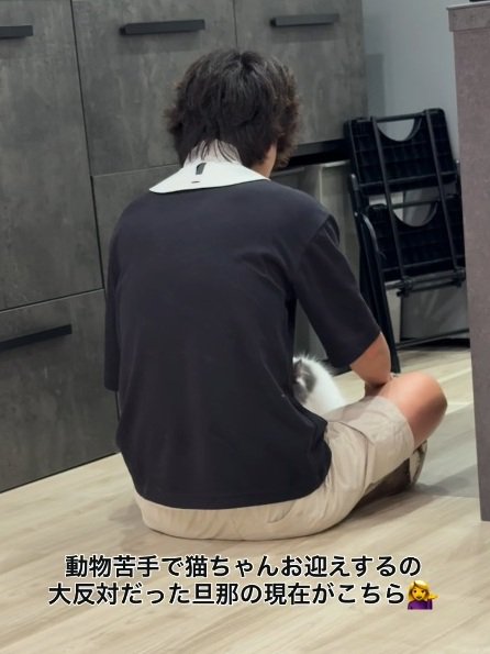 男性の後ろ姿と膝の間にいる猫