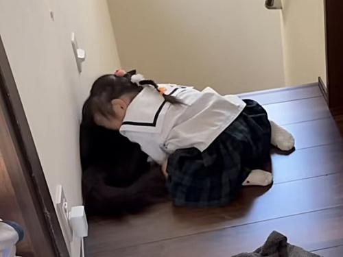 猫の背中にすりすりする妹