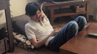 男性の顔にスリスリする猫