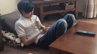 おなかの上で遊ぶ猫