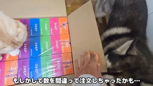 大量のボックスティッシュ