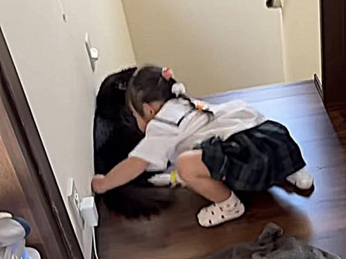 猫に妹がハグする様子