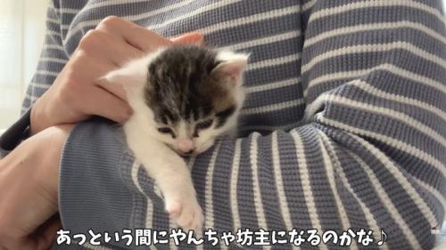 テロップ「あっという間に~」