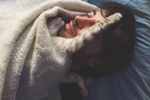 男性の顔に覆いかぶさって寝る猫