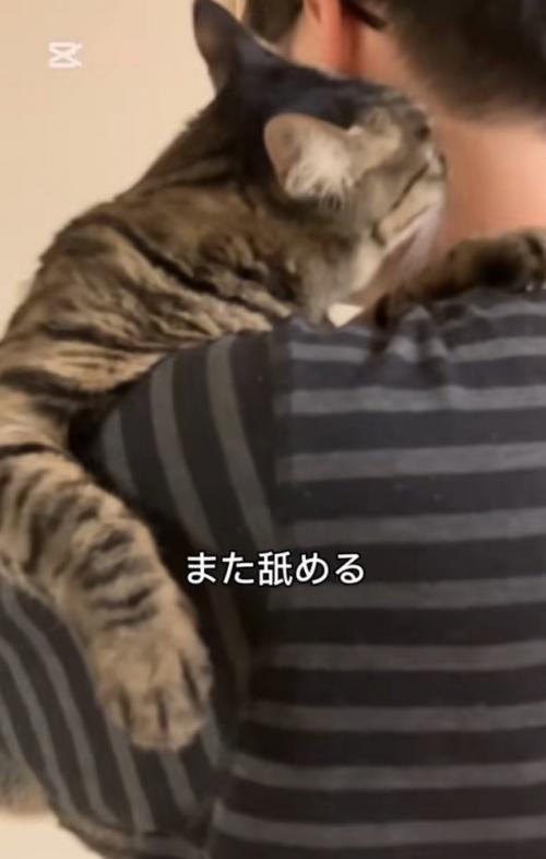 頬を舐める猫