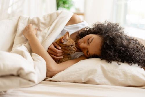 女性の布団に潜り込む茶トラ猫