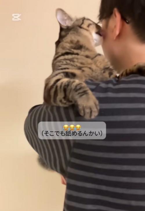 頬を舐める猫