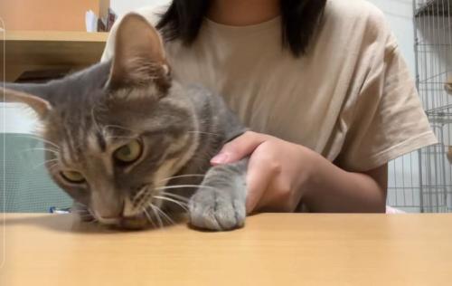 おやつを食べるスピカちゃん