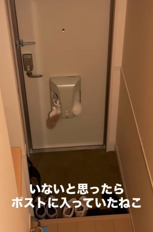 郵便ポスト