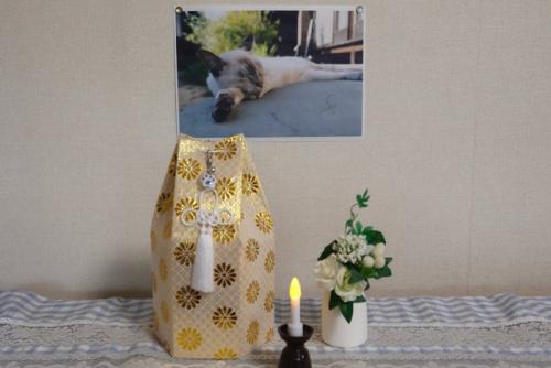 愛猫の遺骨