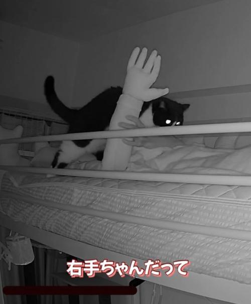 右手を上げる