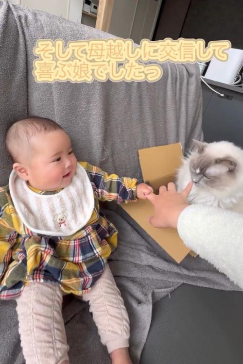 赤ちゃんと白い猫