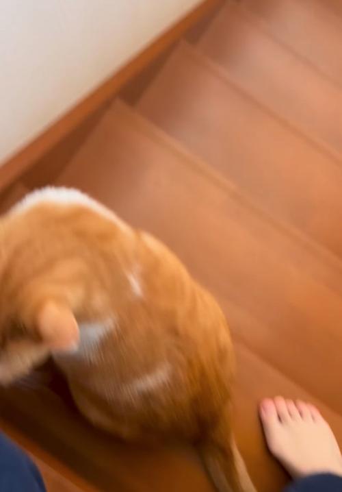 横を通り抜ける