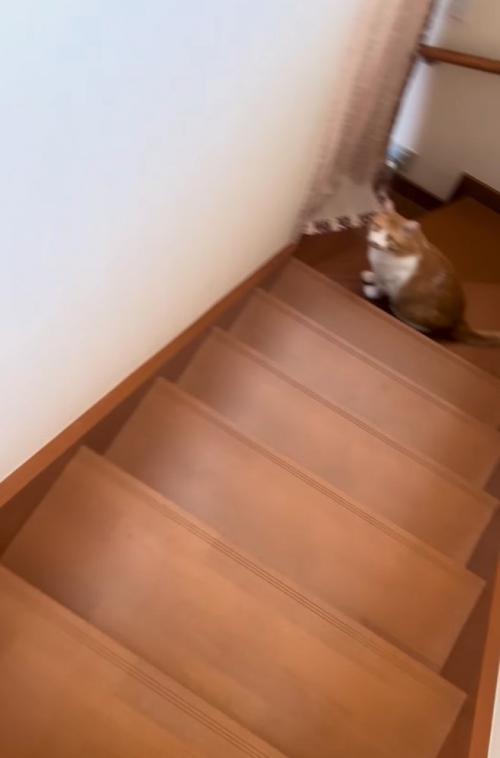 ゆっくり上へ昇っていく