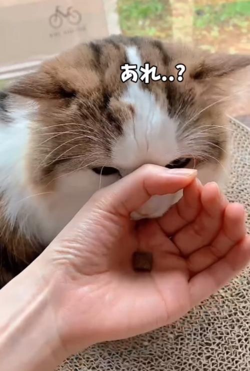 輪っかに口を入れる