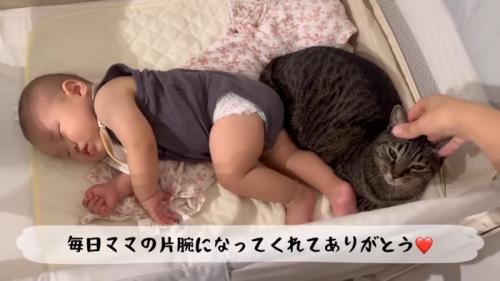 テロップ「毎日ママの～」