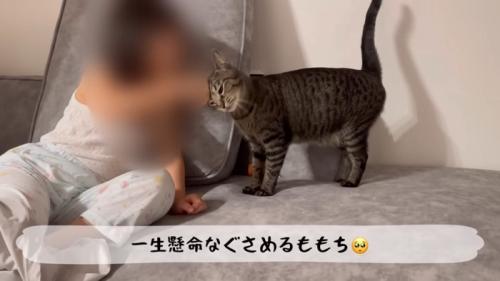 テロップ「一生懸命なぐさめる～」