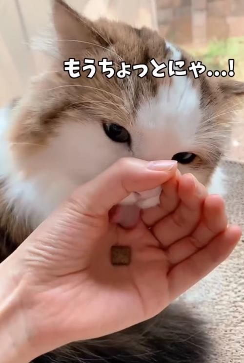 舌を伸ばす
