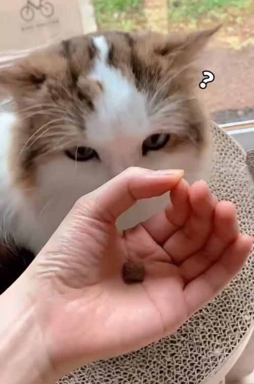 手を見つめる