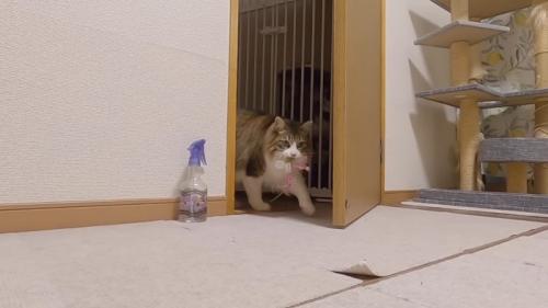 ドアの向こうから