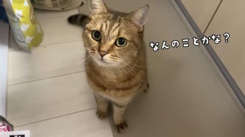 なんのことかな?
