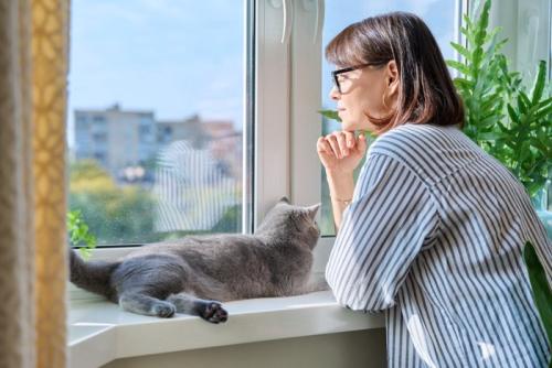 女性といっしょに窓際で横たわる猫