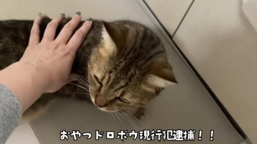現行犯逮捕!!