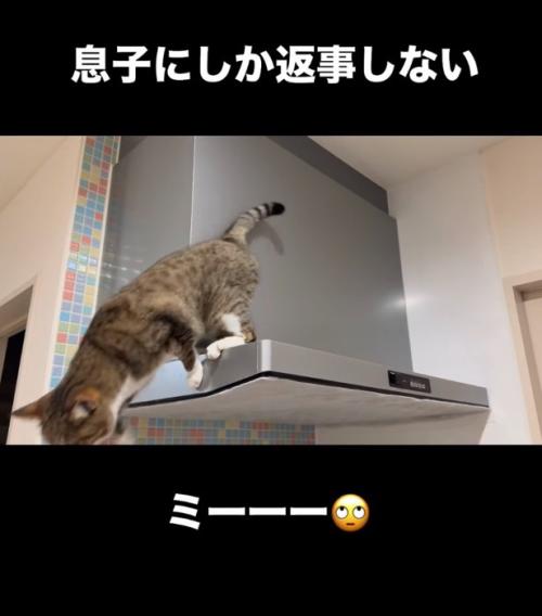 飛び降りる