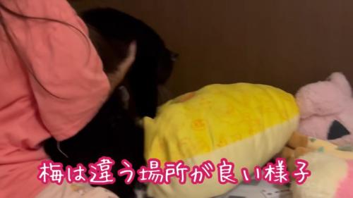 テロップ「梅は違う場所が～」