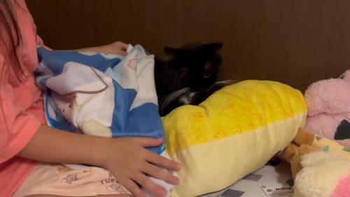 クッションに乗った猫ちゃんに毛布をかけるお姉ちゃん