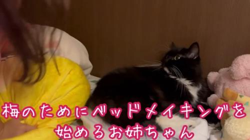 テロップ「梅のために～」