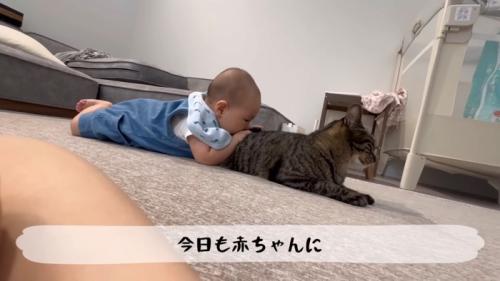 猫吸い