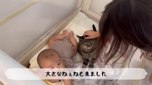 大きなねぇねも