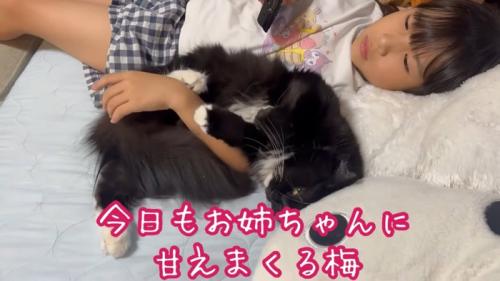 テロップ「今日もお姉ちゃんに～」